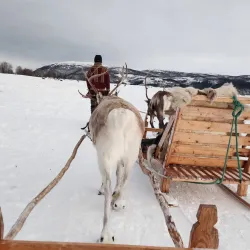 Sami Cultural Experiences - Storslett