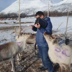 Sami Cultural Experiences - Storslett