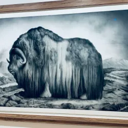 Haugar Vestfold Art Museum - Tonsberg