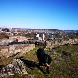 Slottsfjellet (The Castle Hill) - Tonsberg