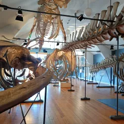 Tønsberg Fortress Museum - Tonsberg