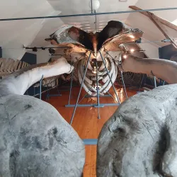 Tønsberg Fortress Museum - Tonsberg