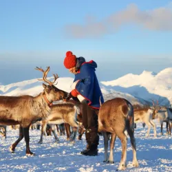 Sami Culture Experiences - Tromso