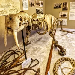 The Polar Museum - Tromso