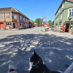 Bakklandet - Trondheim