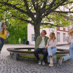 Ringve Museum - Trondheim