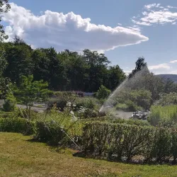 Ringve Museum - Trondheim