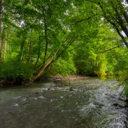Alna River Trail - Trosterud