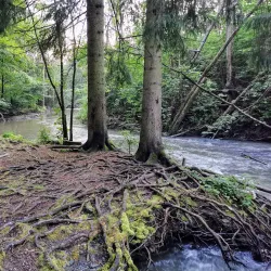 Alna River Trail - Trosterud