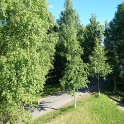 Furuset Cultural Park - Trosterud