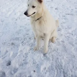 Furuset Cultural Park - Trosterud