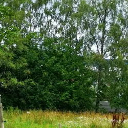 Furuset Cultural Park - Trosterud