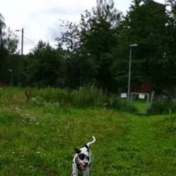 Furuset Cultural Park - Trosterud