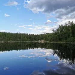 Østmarka Forest - Trosterud