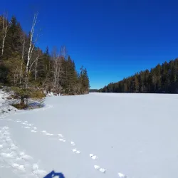 Østmarka Forest - Trosterud