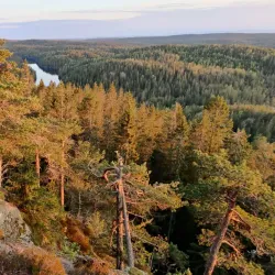 Østmarka Forest - Trosterud