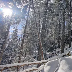 Østmarka Forest - Trosterud