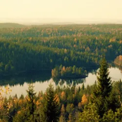 Østmarka Forest - Trosterud