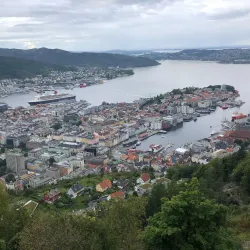 Fjord Sightseeing Tours - Ulsteinvik