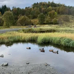Hjørungavåg Hiking Trails - Ulsteinvik