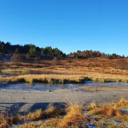 Hjørungavåg Hiking Trails - Ulsteinvik