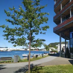 Sjøborg Park - Ulsteinvik