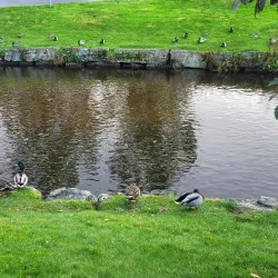 Ulsteinvik Market - Ulsteinvik