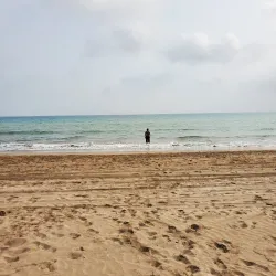 Al Azaiba Beach - Al Azaiba