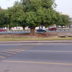 Al Azaiba Park - Al Azaiba