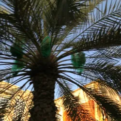 Al Azaiba Park - Al Azaiba