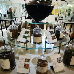 Amouage Perfumery - Al Azaiba