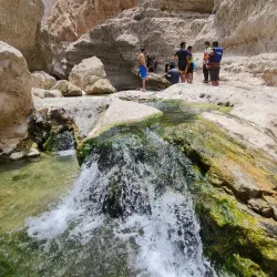 Wadi Al Arbeieen - Al Ghubra