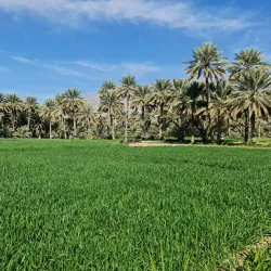 Al-Hamra Fort - Al-hamra'