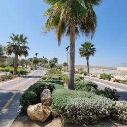 Al-Hamra Mosque - Al-hamra'