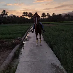 Al-Hamra Souq - Al-hamra'
