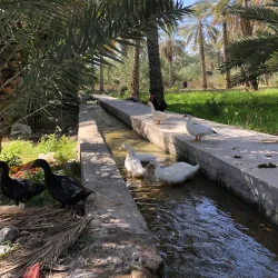 Al-Hamra Souq - Al-hamra'