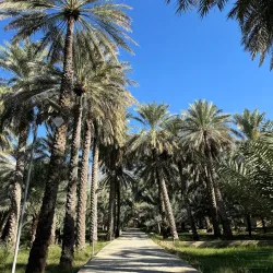 Bait Al Safah Museum - Al-hamra'