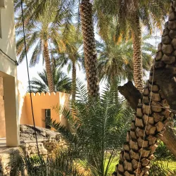 Misfat Al Abriyeen - Al-hamra'