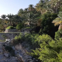 Misfat Al Abriyeen - Al-hamra'