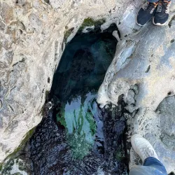 Al Thowarah Hot Springs - Ar-rustaq