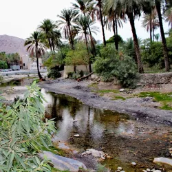 Al Thowarah Hot Springs - Ar-rustaq