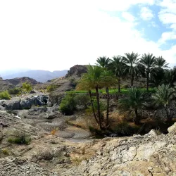 Ar-Rustaq Fort - Ar-rustaq