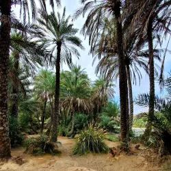 Ar-Rustaq Fort - Ar-rustaq