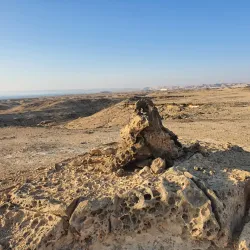Al Jazer Beach - Duqm