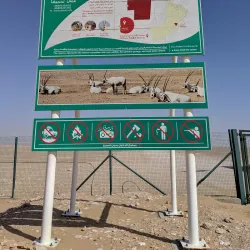 Al Wusta Wildlife Reserve - Duqm