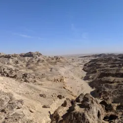 Al Wusta Wildlife Reserve - Duqm