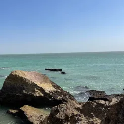 Al Wusta Wildlife Reserve - Duqm