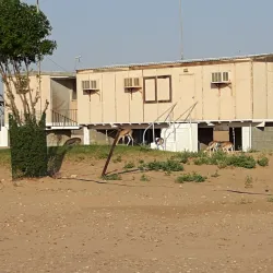 Al Wusta Wildlife Reserve - Duqm