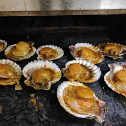 Duqm Fish Market - Duqm