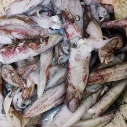 Duqm Fish Market - Duqm